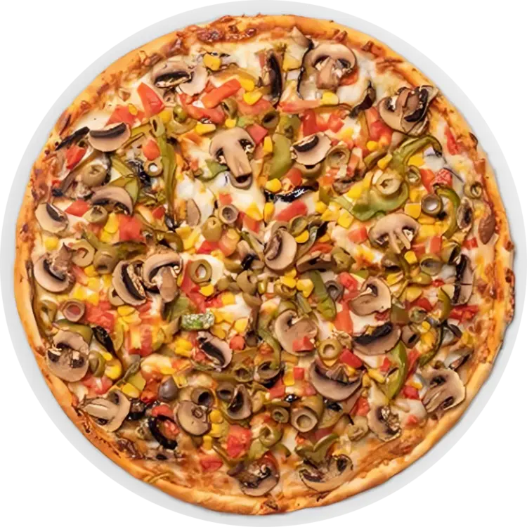 Special Vegetable Pizza